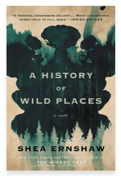 A HISTORY OF WILD PLACES BY SHEA&nbsp;ERNSHAW