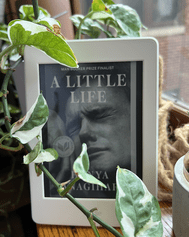 A LITTLE LIFE BY HANYA&nbsp;YANAGIHARA