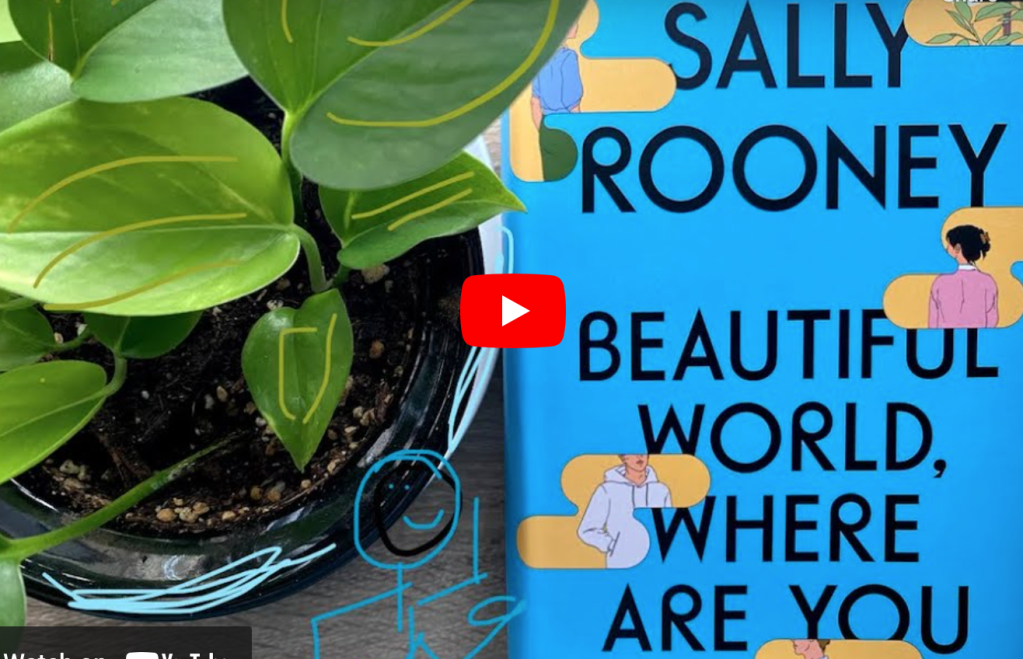 BEAUTIFUL WORLD, WHERE ARE YOU BY: SALLY&nbsp;ROONEY