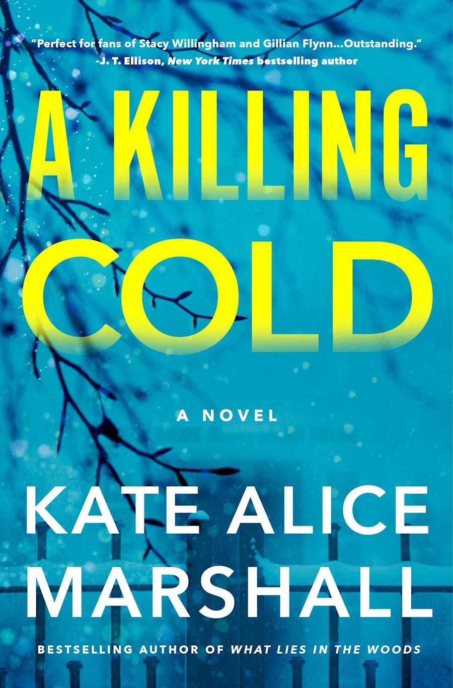 A Killing Cold By: Kate Alice&nbsp;Marshall